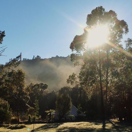 Glamping At Zeehan Bush Camp Ξενοδοχείο Εξωτερικό φωτογραφία