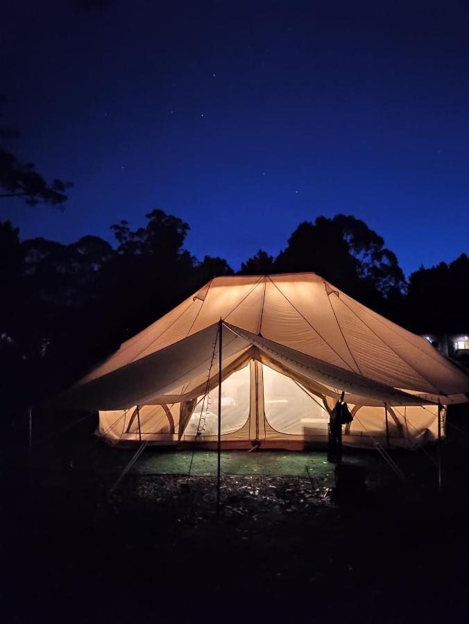 Glamping At Zeehan Bush Camp Ξενοδοχείο Εξωτερικό φωτογραφία