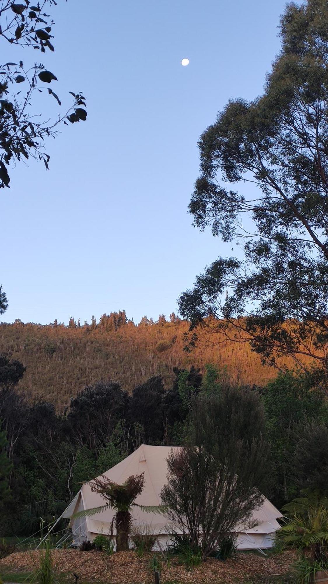 Glamping At Zeehan Bush Camp Ξενοδοχείο Εξωτερικό φωτογραφία