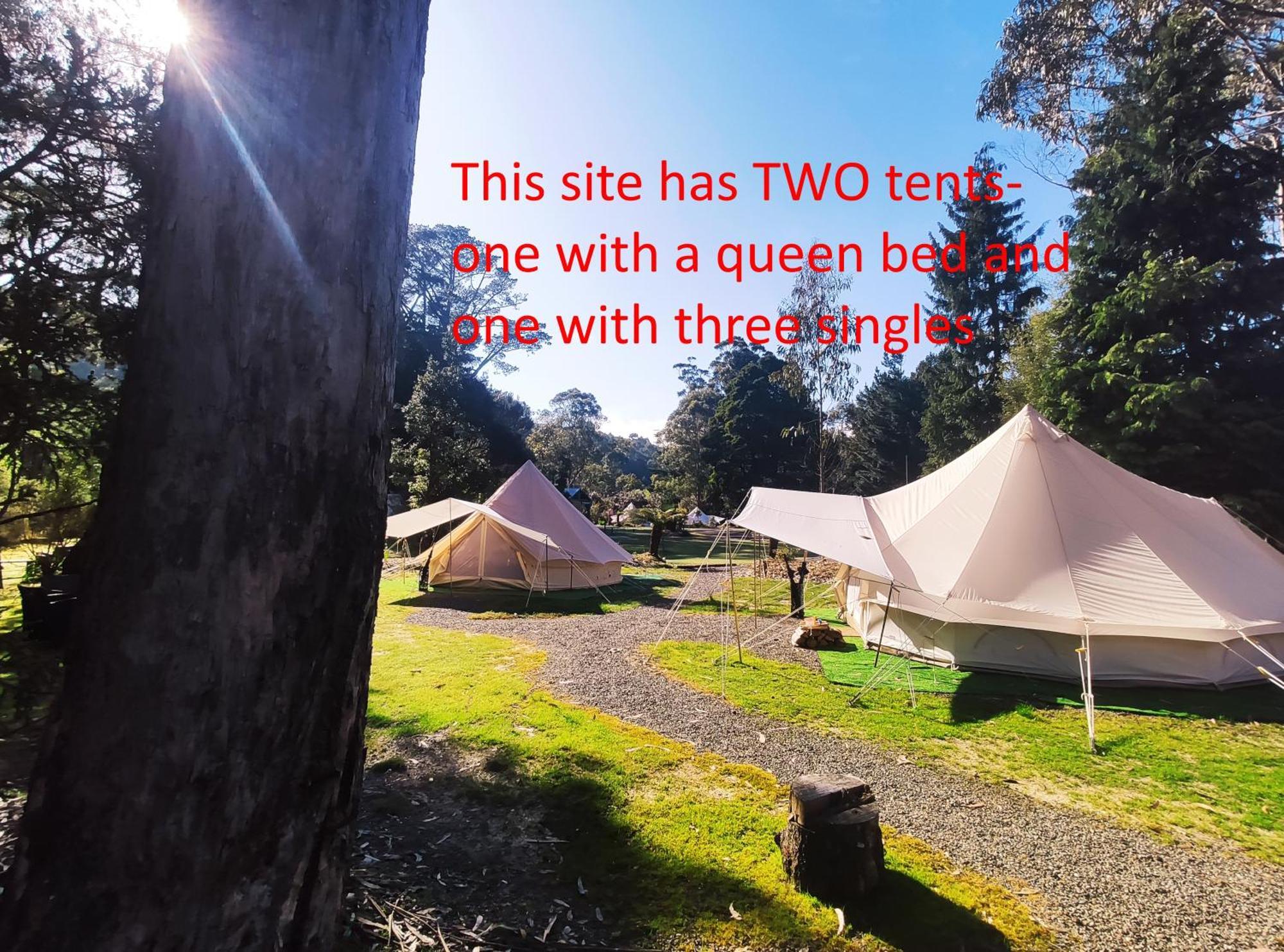 Glamping At Zeehan Bush Camp Ξενοδοχείο Εξωτερικό φωτογραφία