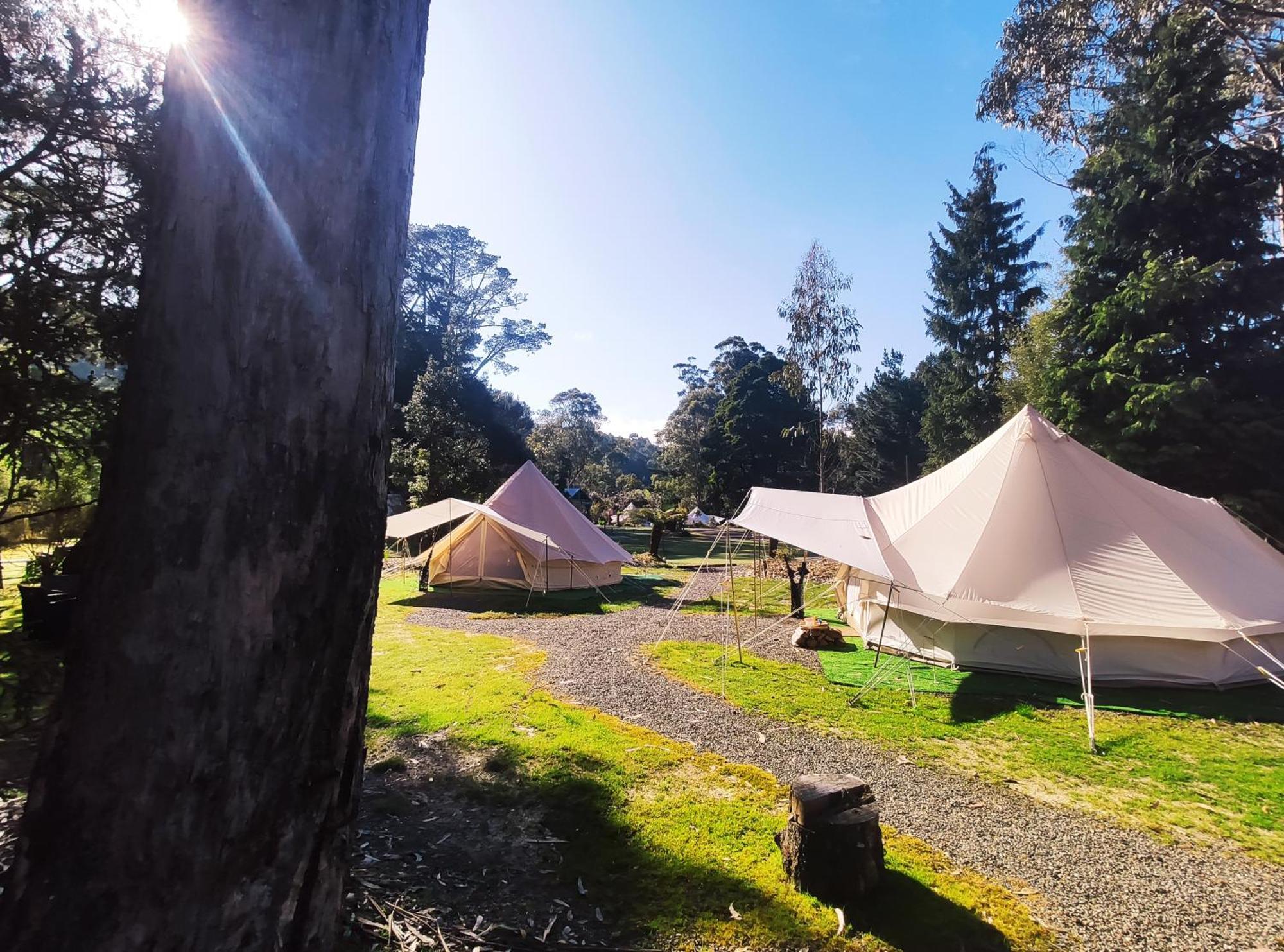 Glamping At Zeehan Bush Camp Ξενοδοχείο Εξωτερικό φωτογραφία