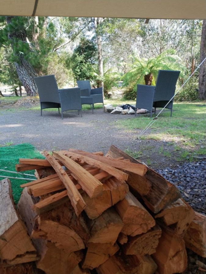 Glamping At Zeehan Bush Camp Ξενοδοχείο Εξωτερικό φωτογραφία